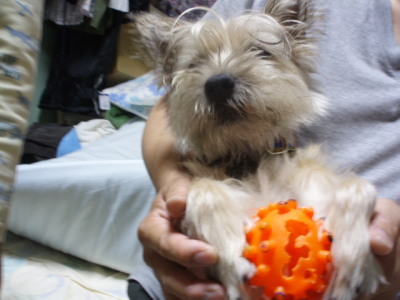 c0086895_2224021.jpg