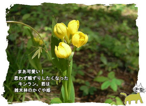 f0137096_12132094.jpg