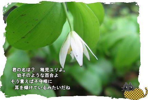 f0137096_12152499.jpg