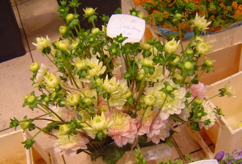 f0139397_15544713.jpg