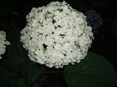 f0153998_23484458.jpg