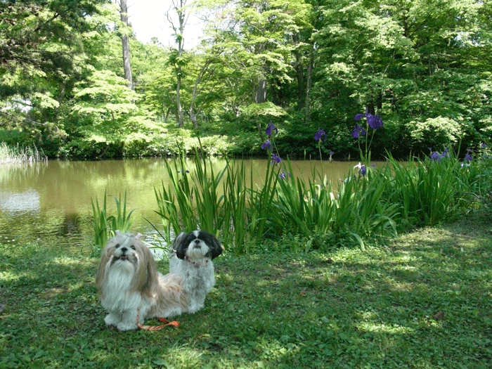 e0050801_133953.gif