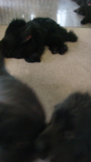 e0005603_20531368.jpg