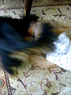 c0146804_2018411.jpg