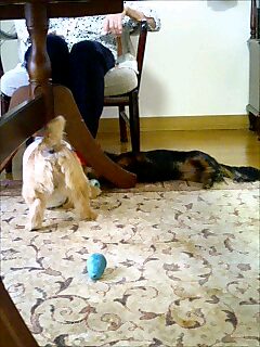 c0146804_2037307.jpg