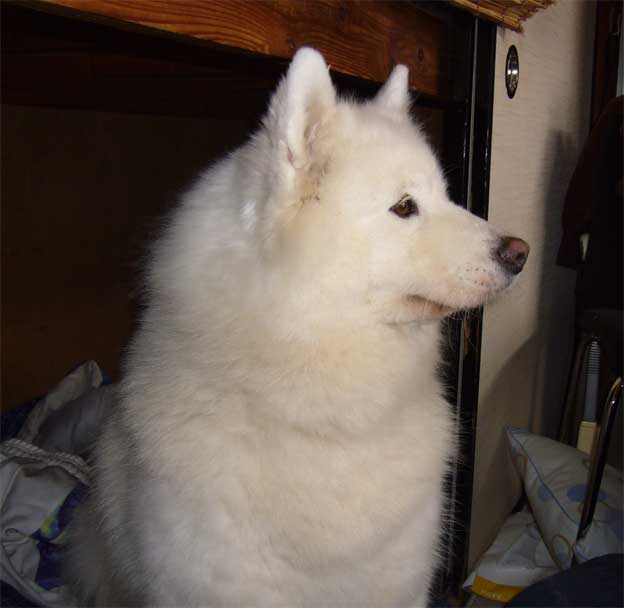 e0018604_234797.jpg