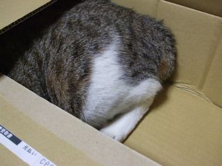 c0103205_21172527.jpg