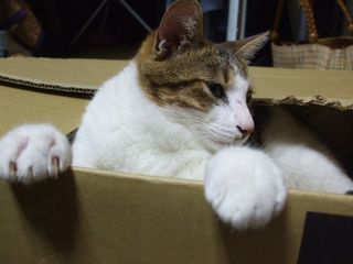 c0103205_21182550.jpg