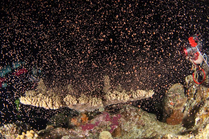 b0110406_21235562.jpg