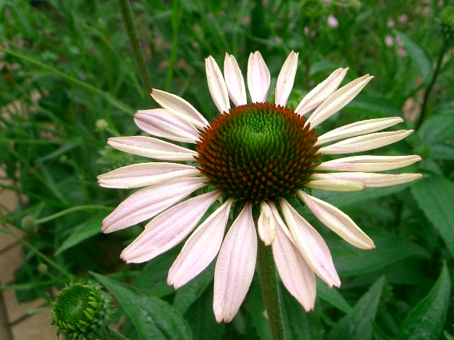 f0162908_20332332.jpg