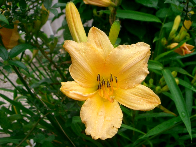f0162908_2034182.jpg