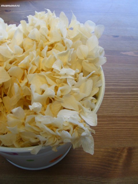 b0118511_9134775.jpg