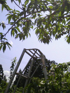 f0031013_13254891.jpg