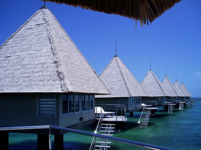a0000014_1313175.jpg