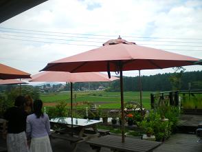 f0174016_23231766.jpg