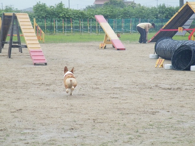 c0127617_15415321.jpg