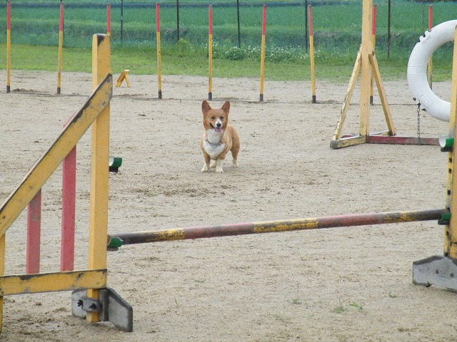 c0127617_15472389.jpg