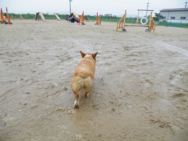 c0127617_15491560.jpg