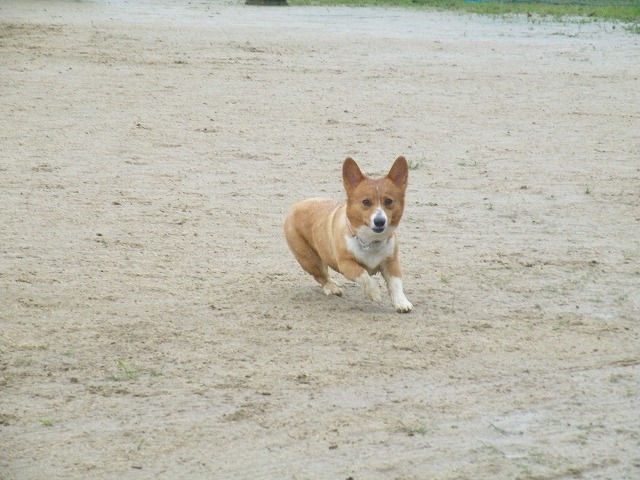 c0127617_15495171.jpg