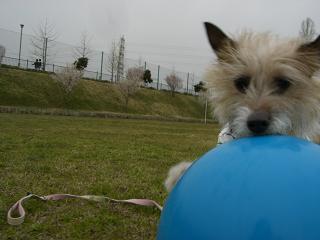 a0089120_2121303.jpg