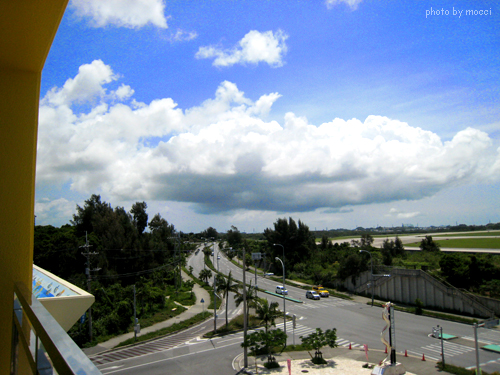 d0131523_20353097.jpg