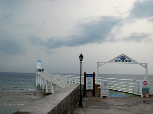 d0131523_20543732.jpg