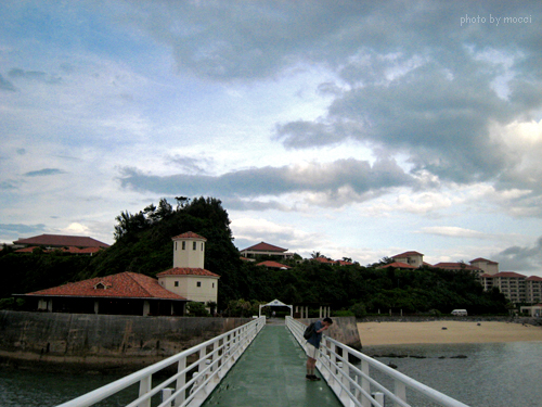 d0131523_21153250.jpg