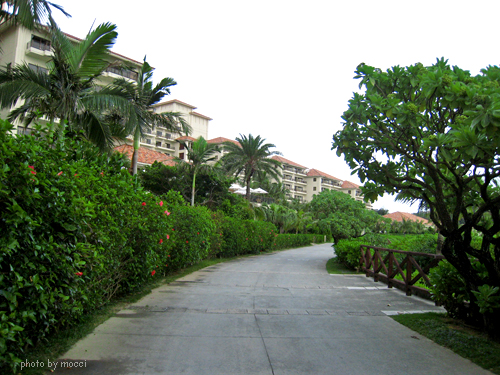 d0131523_21173262.jpg