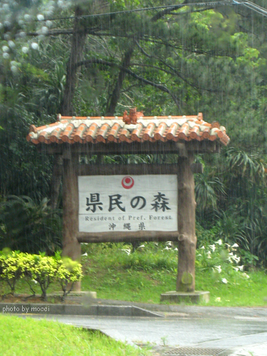 d0131523_21344696.jpg