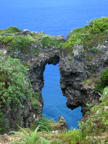 d0131523_21411280.jpg