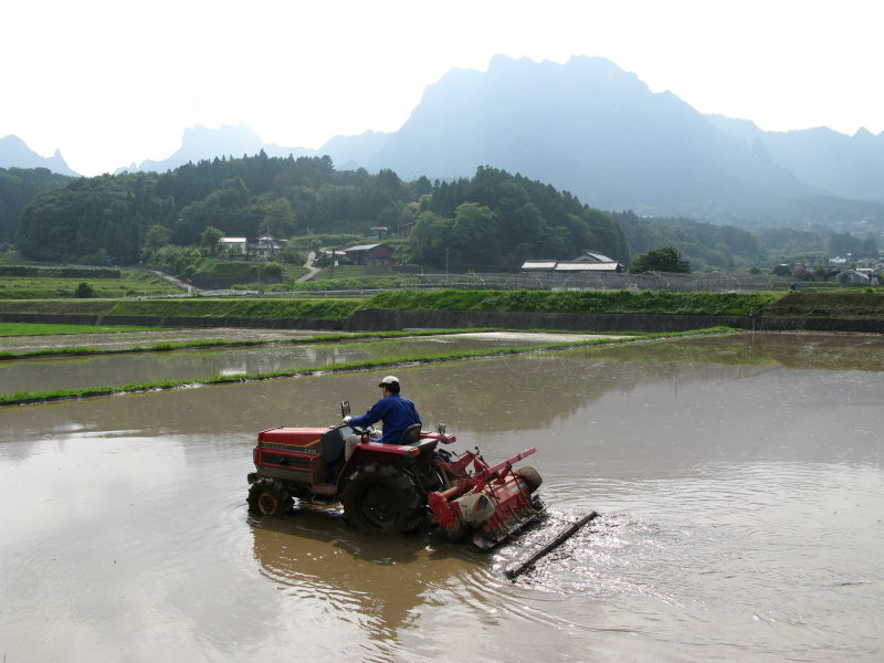 f0017530_16485570.jpg