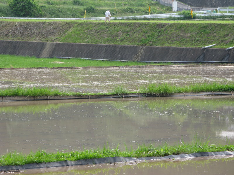 f0017530_1650384.jpg