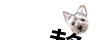 d0017632_8501126.gif