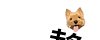 d0017632_8502141.gif
