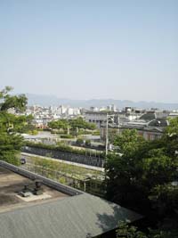 b0035734_14172665.jpg