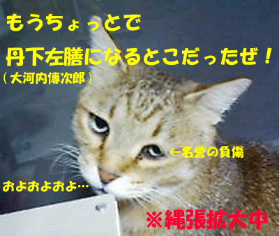 f0008935_1345888.gif