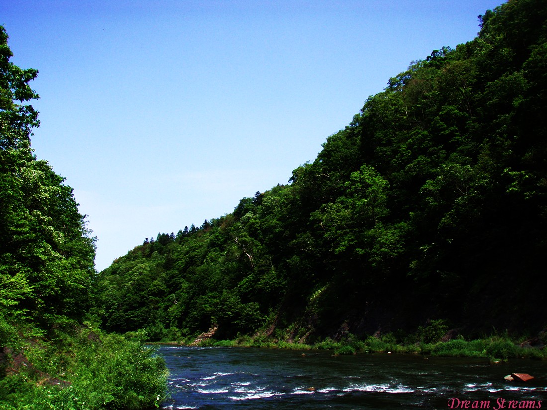 b0072541_22461984.jpg