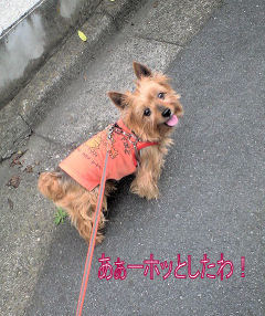 c0033145_16415421.jpg
