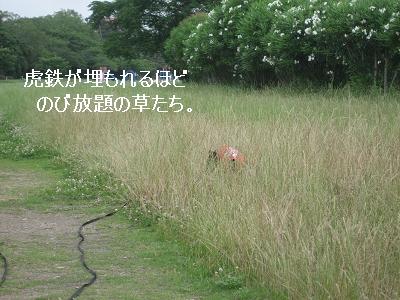 e0126046_2174586.jpg