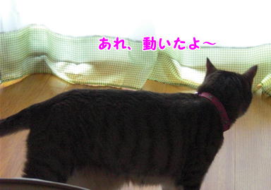 d0139352_0331860.jpg