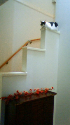 f0076952_22175031.jpg