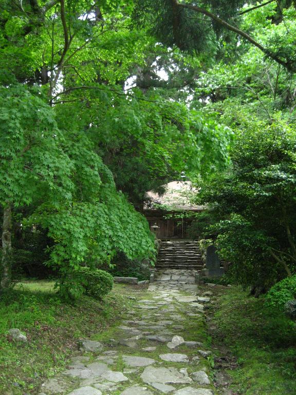e0121753_1743951.jpg