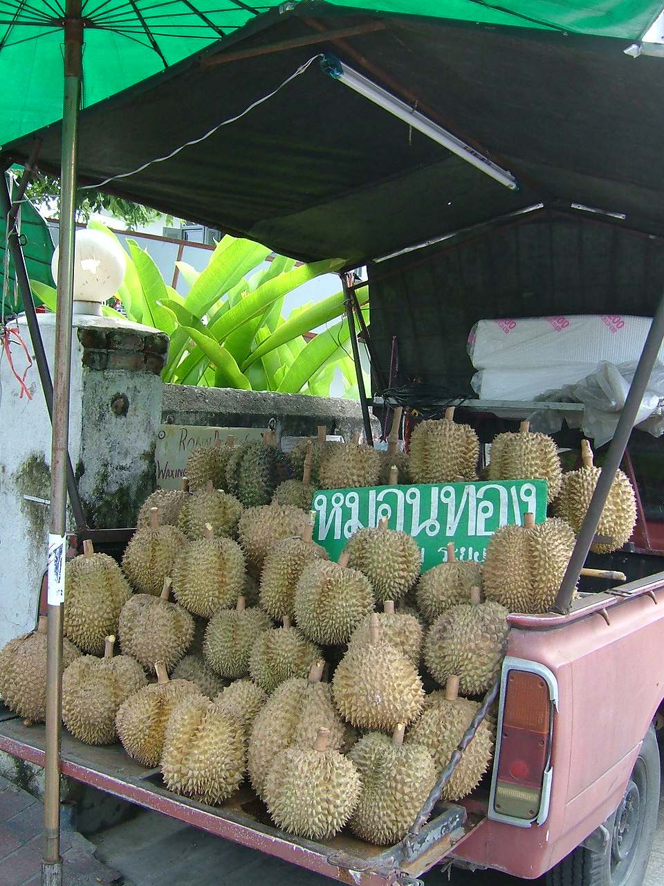 f0072357_23322564.jpg