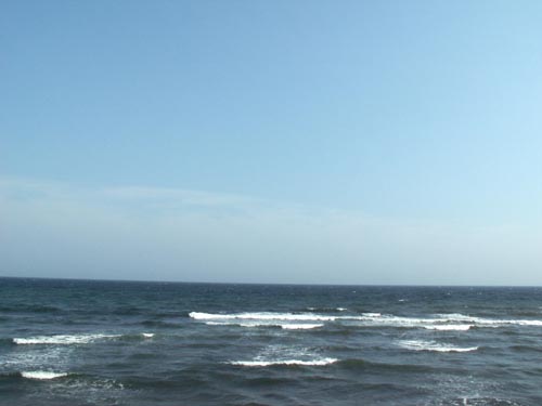 d0150659_17364668.jpg