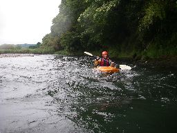 d0043161_23495661.jpg