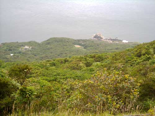 e0097770_21515538.jpg