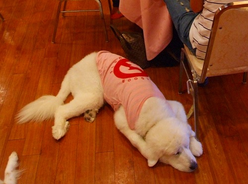 c0149178_17320100.jpg