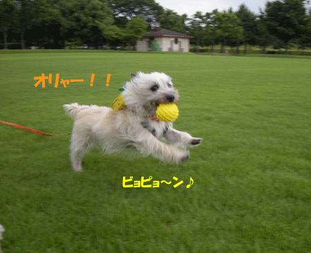 e0066883_212355.gif