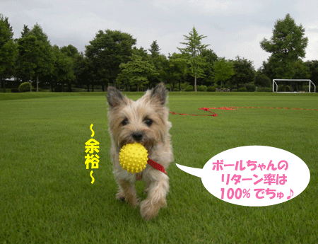 e0066883_21494564.gif