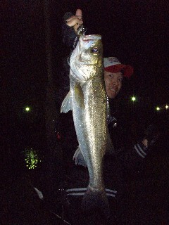 e0052088_15111617.jpg
